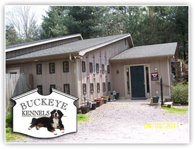 Asheville Kennels, Dog Boarding and Daycare 